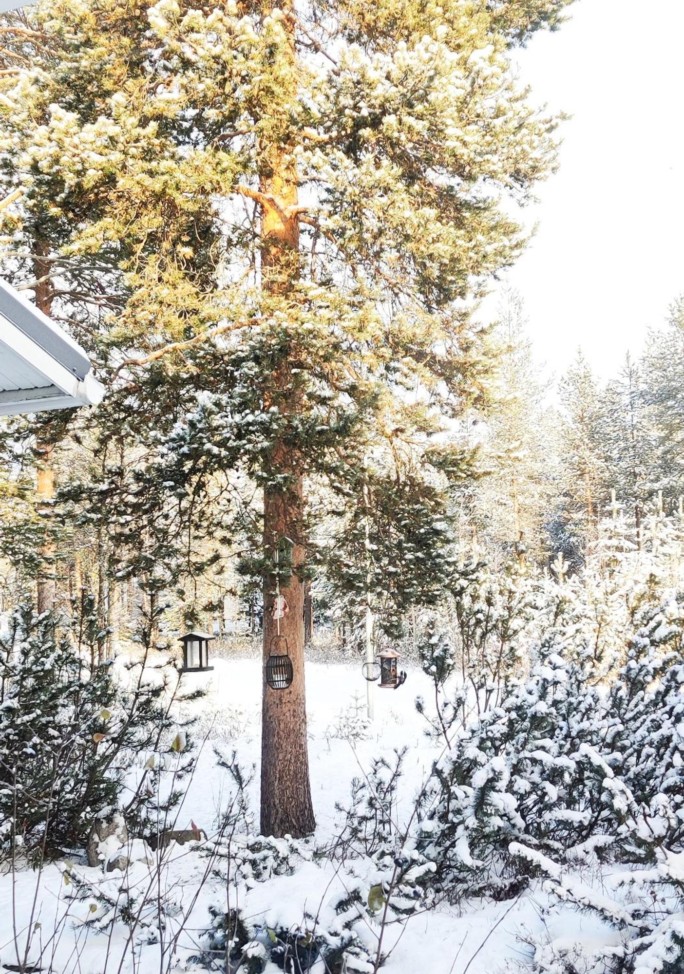 Nordic With Private Sledding Hill And Fire Pit Villa *