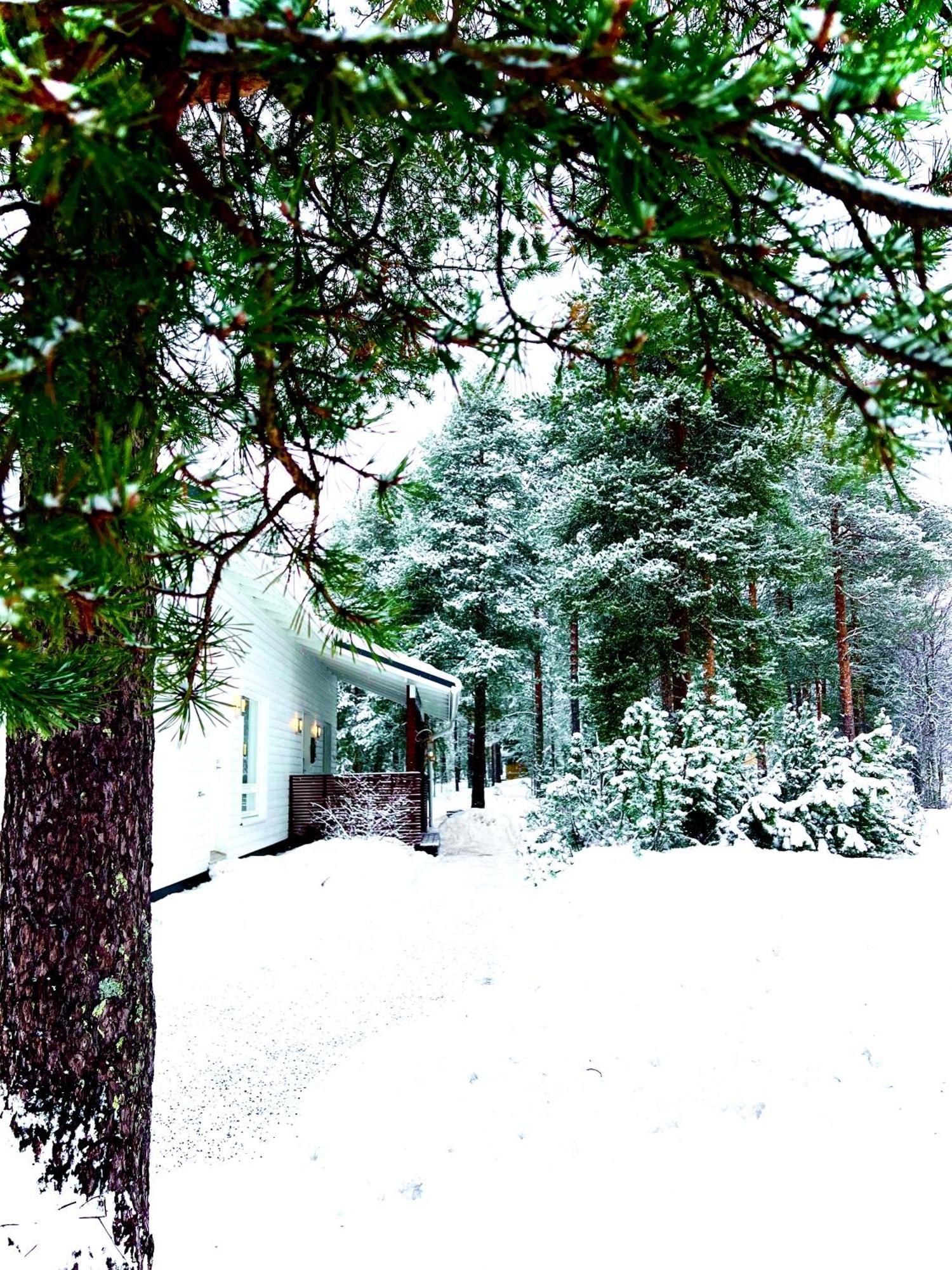 Nordic With Private Sledding Hill And Fire Pit * Rovaniemi